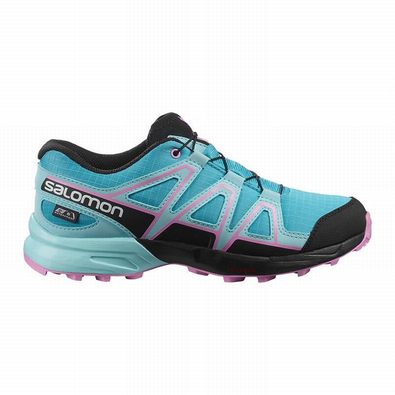 Salomon SPEEDCROSS CLIMASALOMON™ WATERPROOF Zapatillas Trail Running Niños - Azules / Marrones Turqu